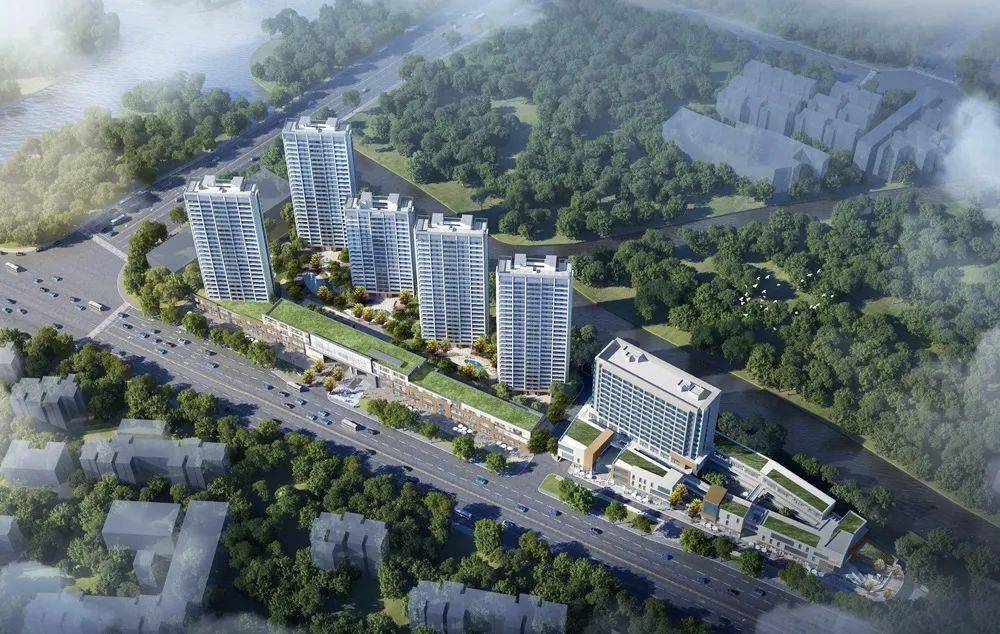 桑植二手房市场最新消息深度解析