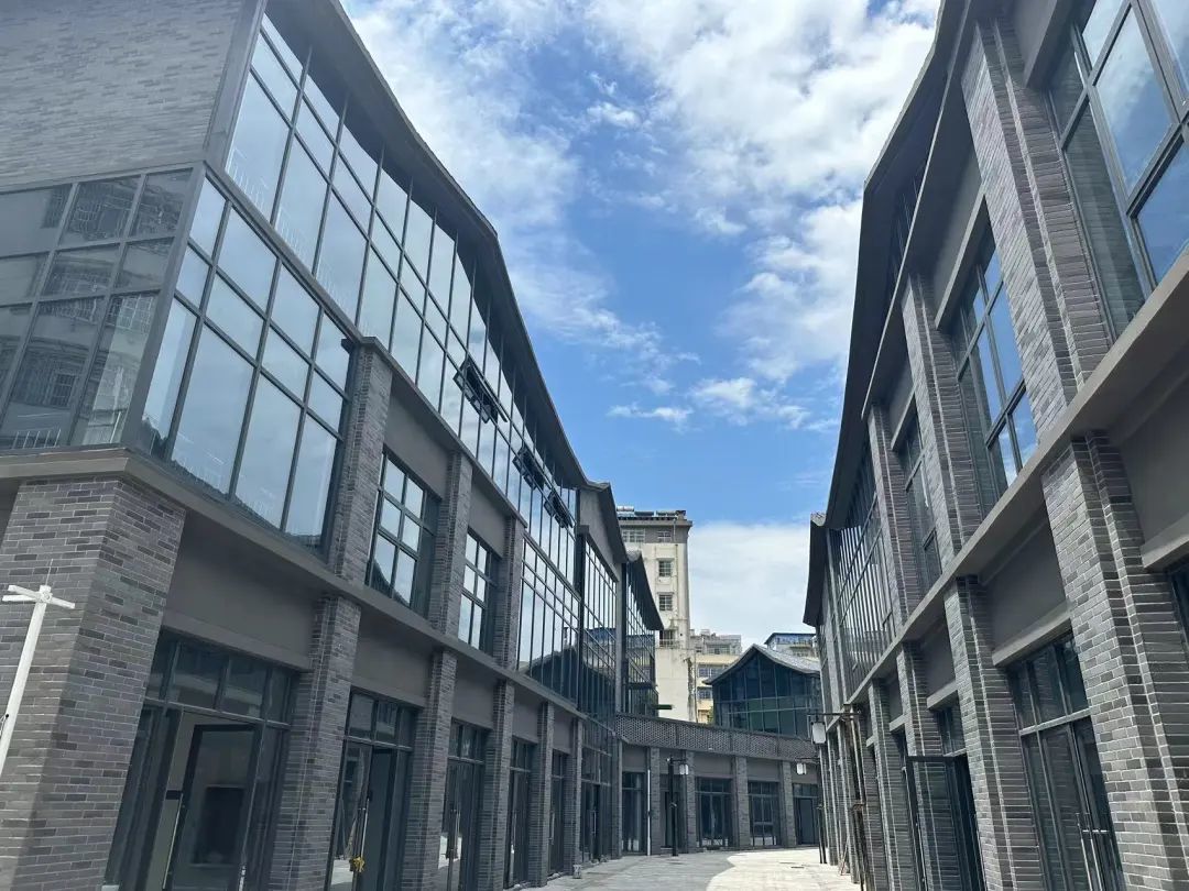 海宁百里长廊最新进展，打造城市新名片，展现独特魅力