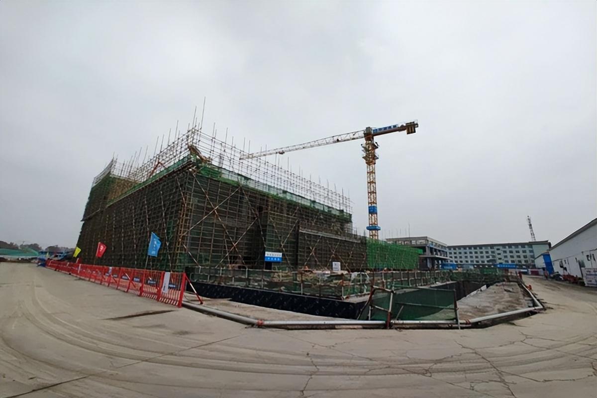 2024年最新法定传染病概览