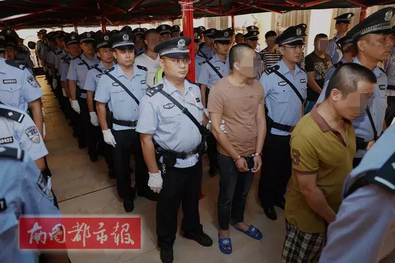 五指山电影院最新影讯，探索电影的魅力世界