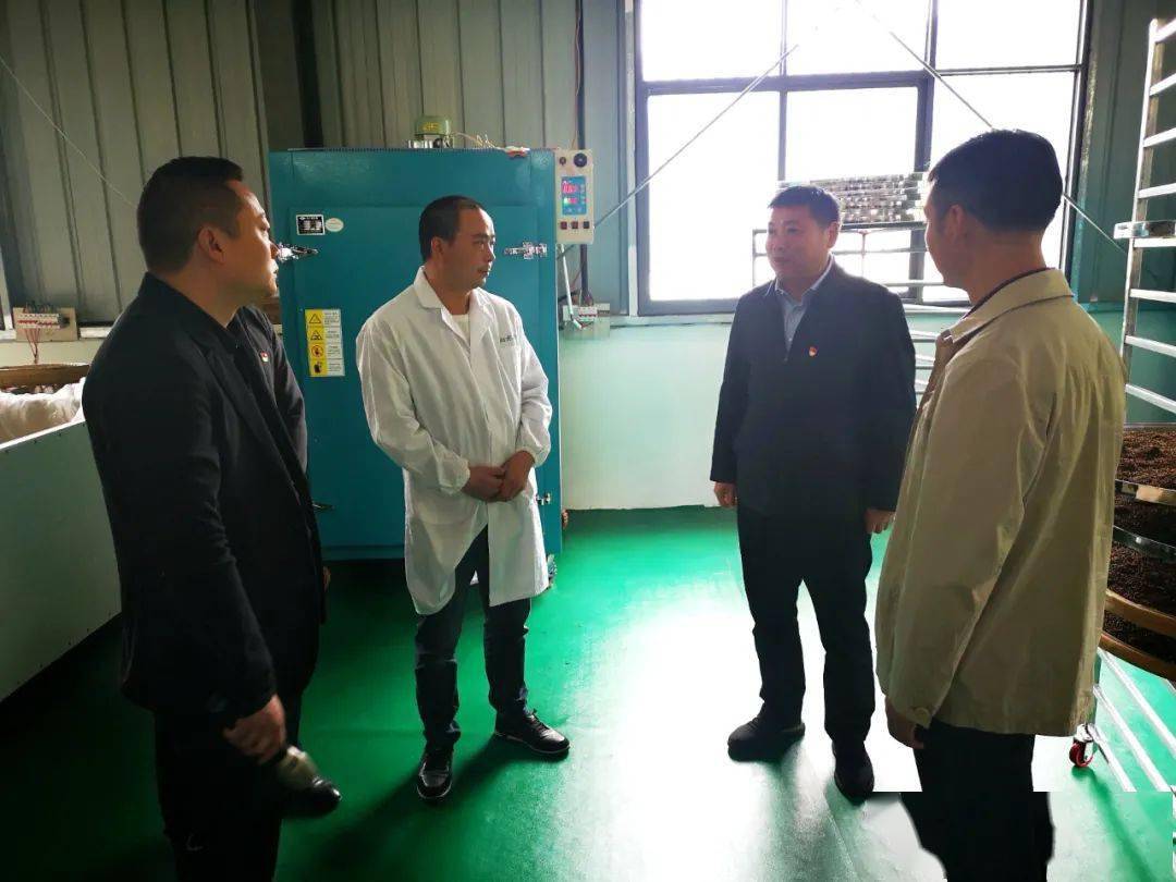 分宜县夏小云最新进展，探索与启示
