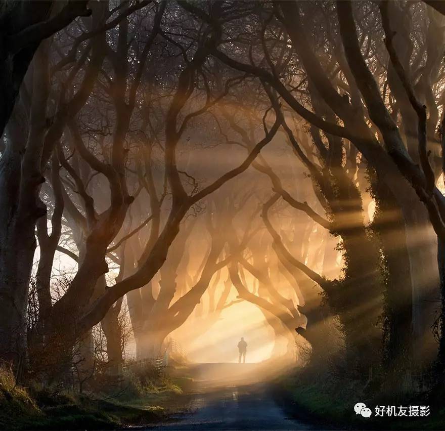 鬼夫别撩我最新章节——探寻神秘世界的奇异之旅