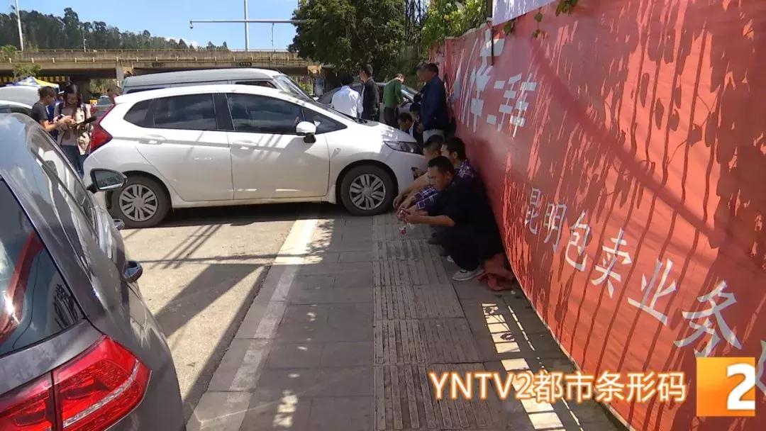 资讯 第81页