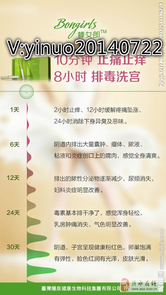 棒女郎最新代理价格表详解
