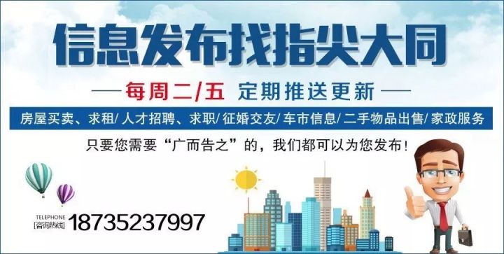 洛阳市招聘网最新招聘信息概览