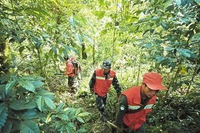 河口区附近最新招聘信息概览