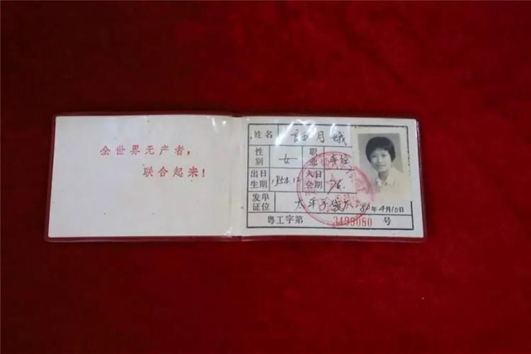 东莞手袋厂最新招聘信息及其相关解读