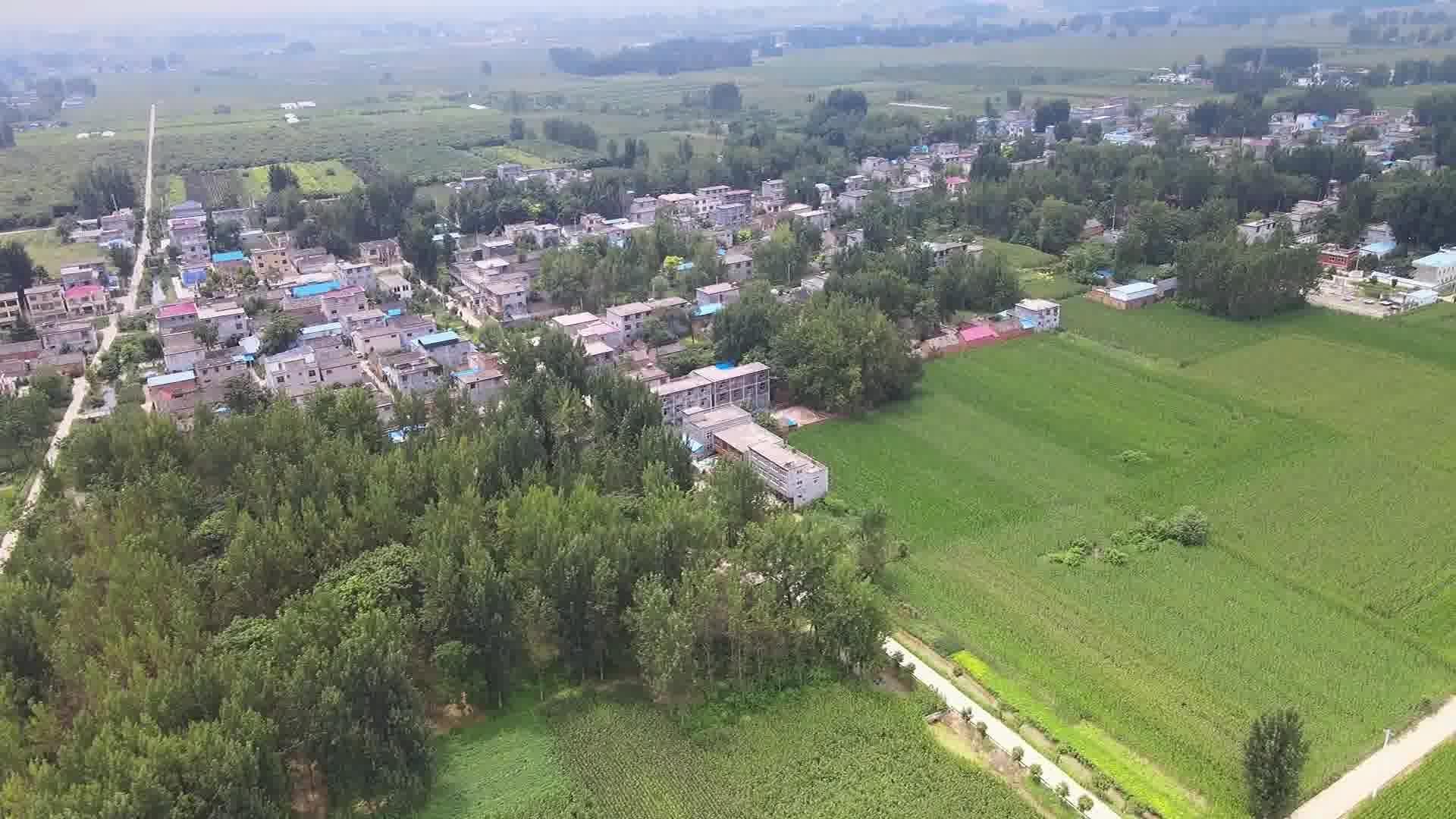 界首市邴集乡最新消息，发展动态与亮点展望