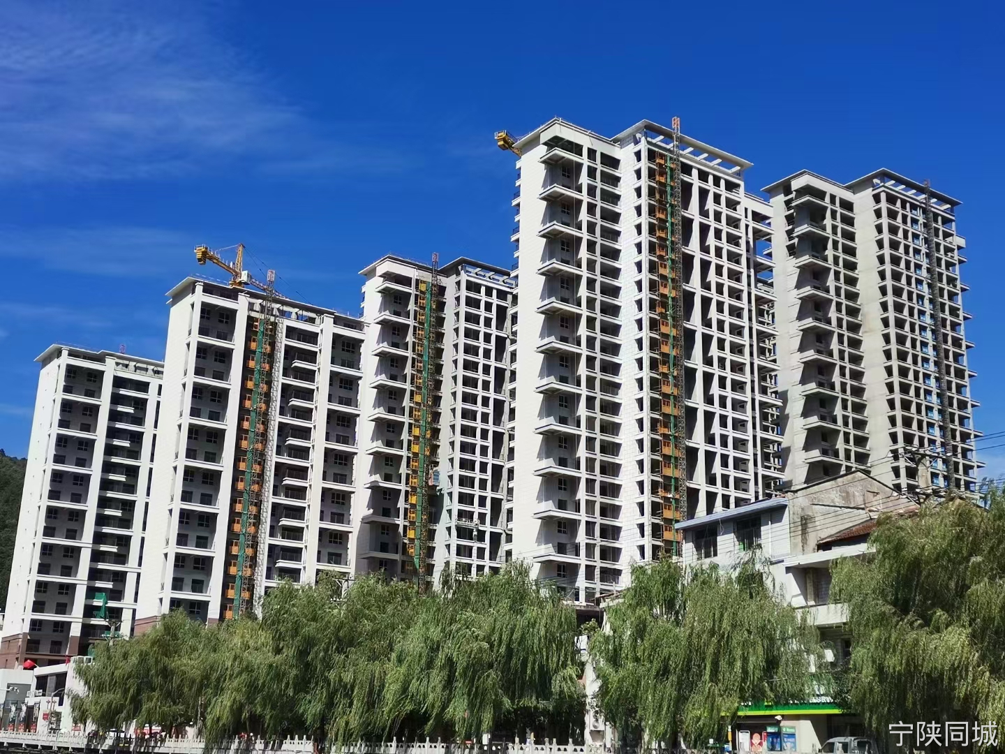 甘肃省静宁县房价最新动态，趋势分析与市场洞察
