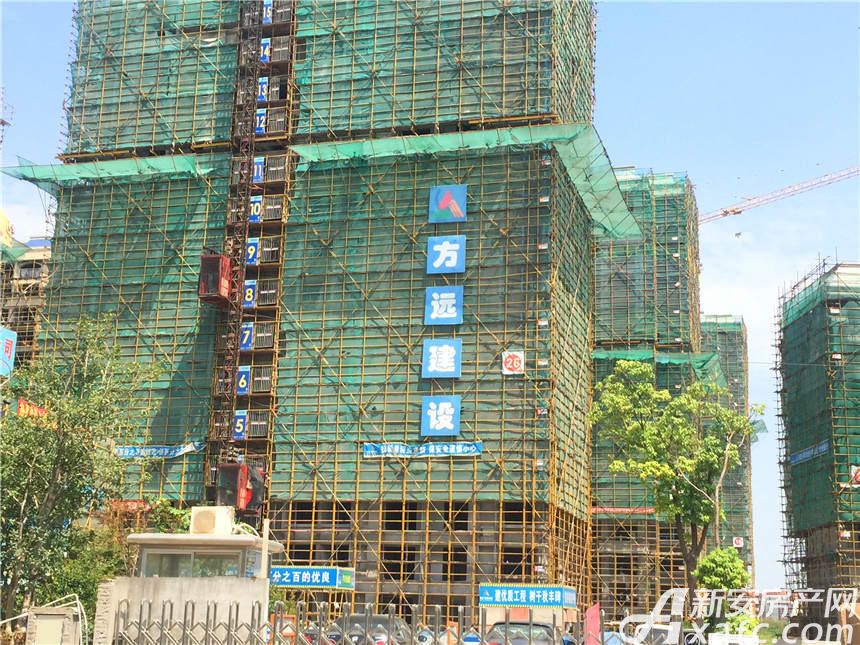 东方蓝海湾最新工程进度报告
