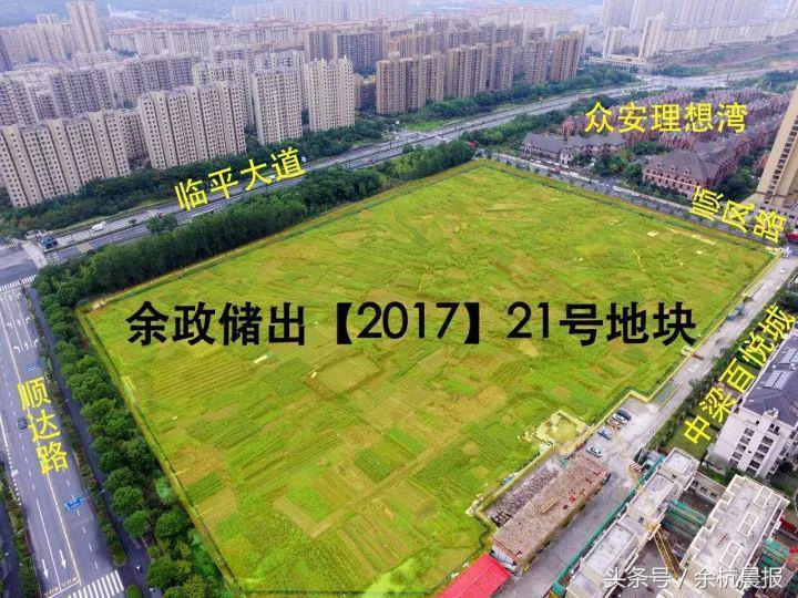 临平山北最新政策，推动区域可持续发展的关键举措