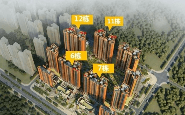 纪晓岚第五部最新消息深度解析