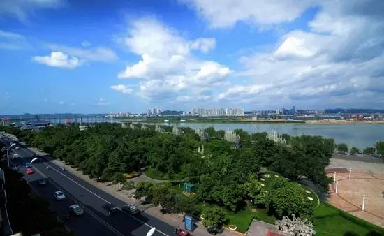 林荫大道，城市中的绿洲与历史的见证