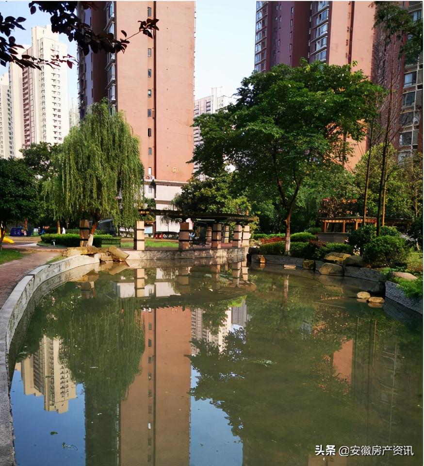 滨湖观湖苑最新房价动态分析