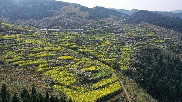丰都县莲花山最新消息，揭开神秘面纱下的壮丽景色与发展蓝图