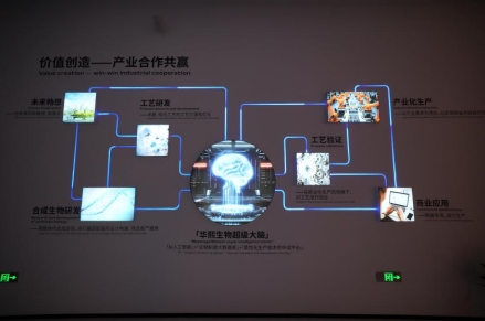 探索S40，一款多功能设备的无限潜力与未来展望