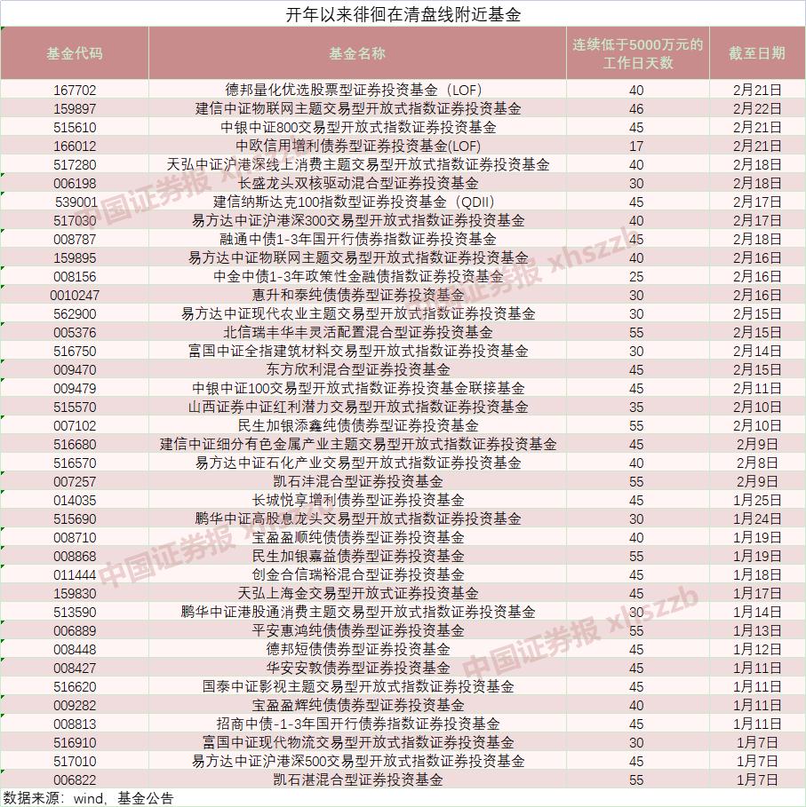 中金策略基金净值最新动态及其市场影响力