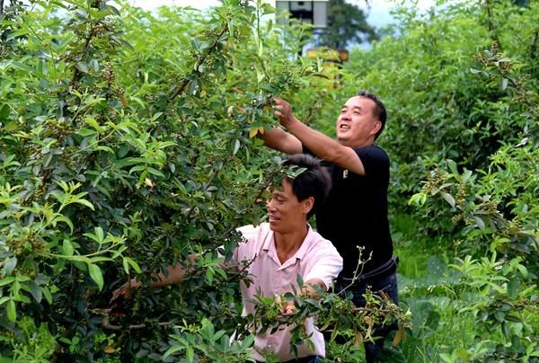 澳门 第58页