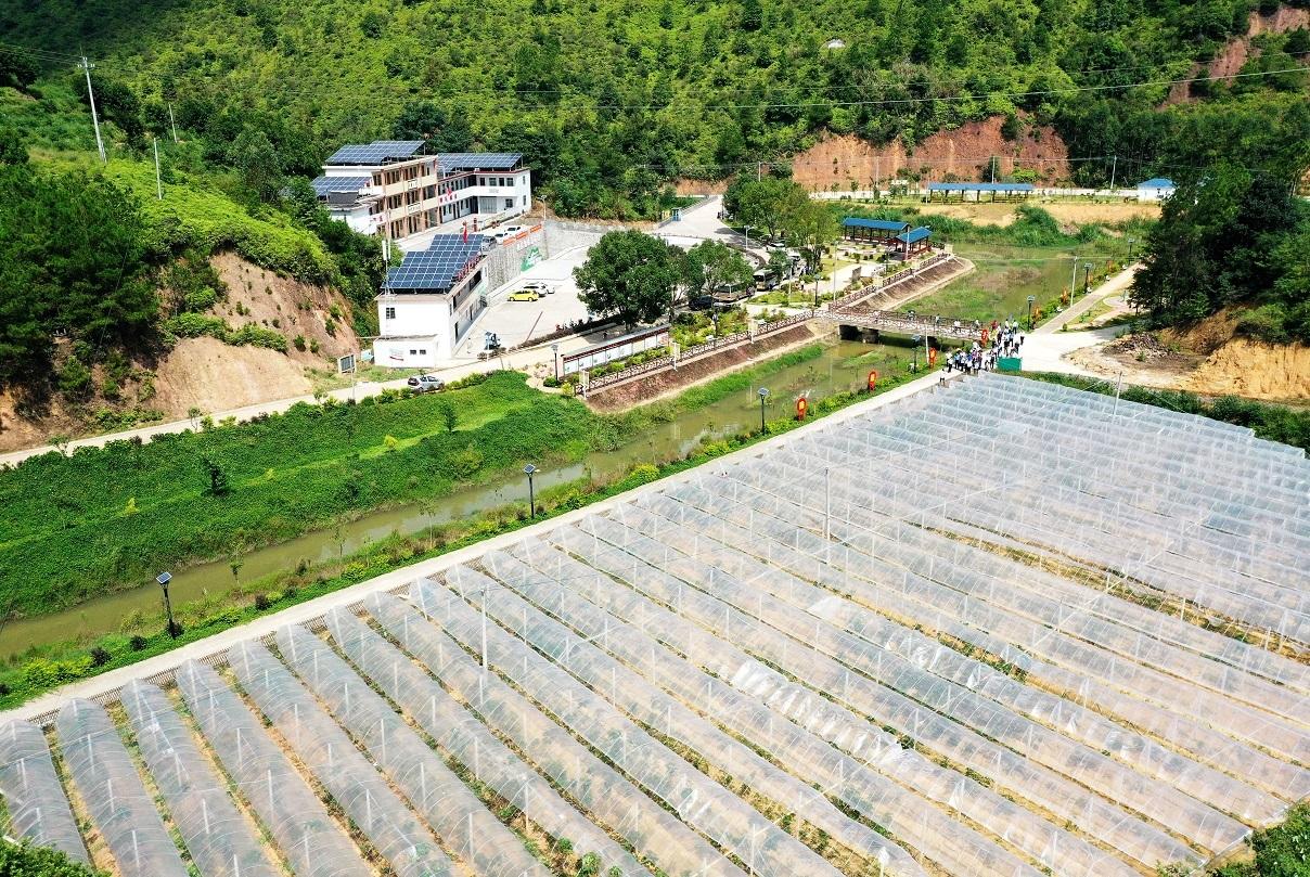 五华县潭下镇最新书记——引领地方发展的杰出领导者