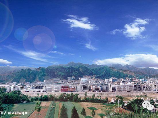 山阳县杨地镇最新消息概览