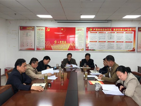 定远县组织部最新消息全面解析