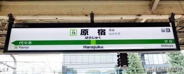 大名县最新道路规划图，塑造未来城市交通格局