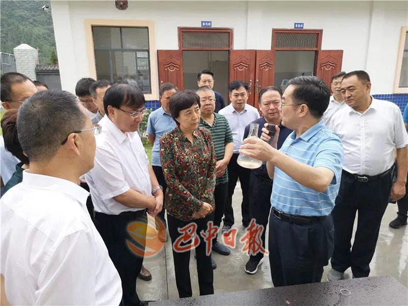 兴元新区二期最新消息全面解读