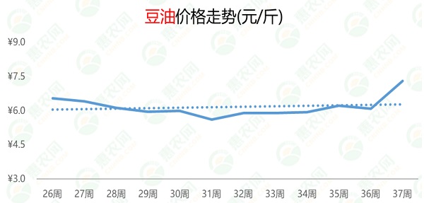 食用油为什么涨价的最新消息分析
