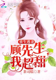 顾先生离婚吧最新章节，情感的纠葛与抉择