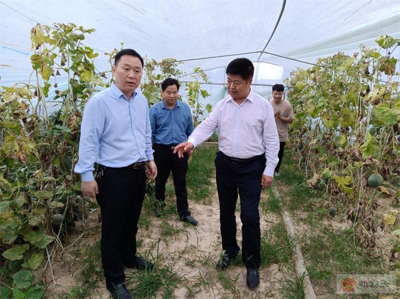 太康县马厂镇最新消息全面解读