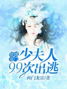 西门龙霆与少奶奶的逃遁冒险，最新章节深度解析
