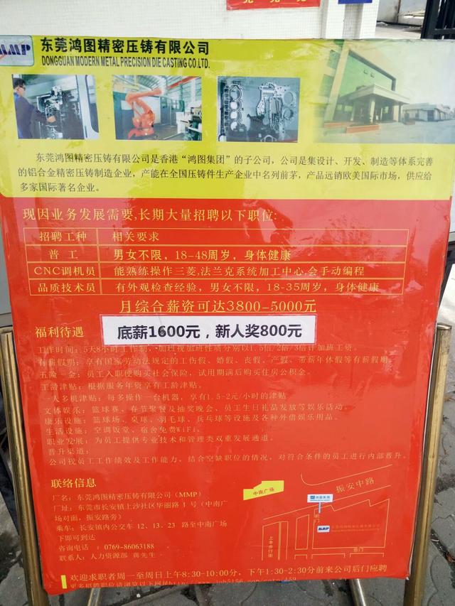 东莞昭和厂最新招聘信息概览