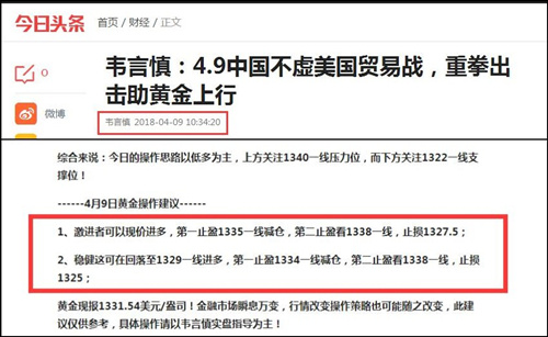保千里官网最新消息深度解析
