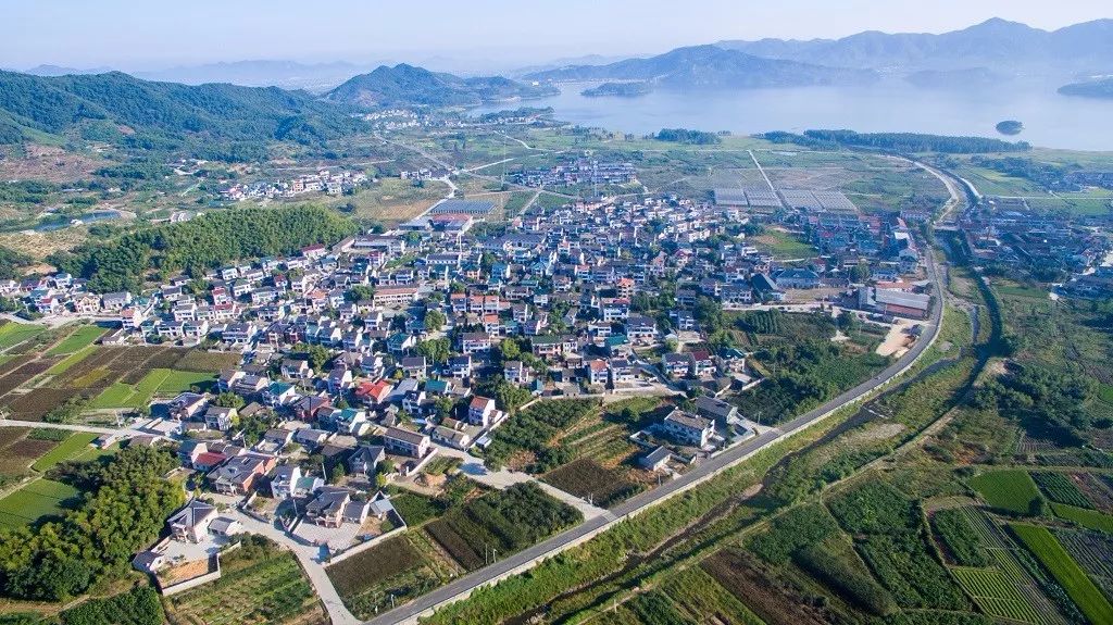 遵义市深溪镇最新消息概览