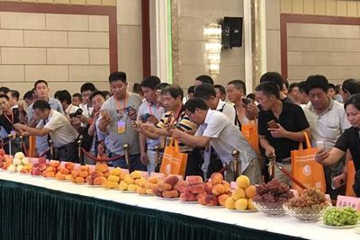 杰丰果业最新消息，引领果业新时代，迈向更高峰
