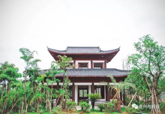 贺州市园博园最新消息，展现生态园林的独特魅力与未来发展蓝图