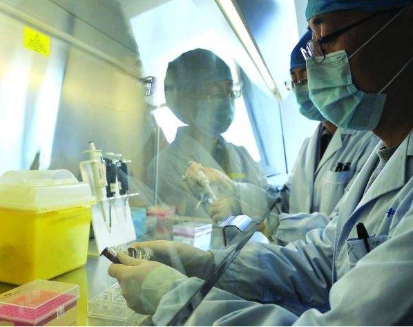 H7N9疫情最新消息，关注病毒变异与防控进展（2024年报告）