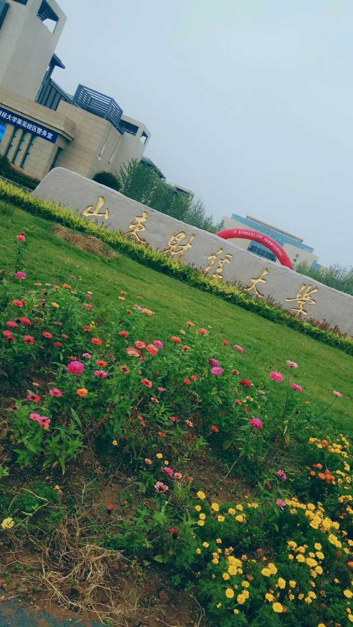 山东财经大学莱芜校区最新消息全面解读