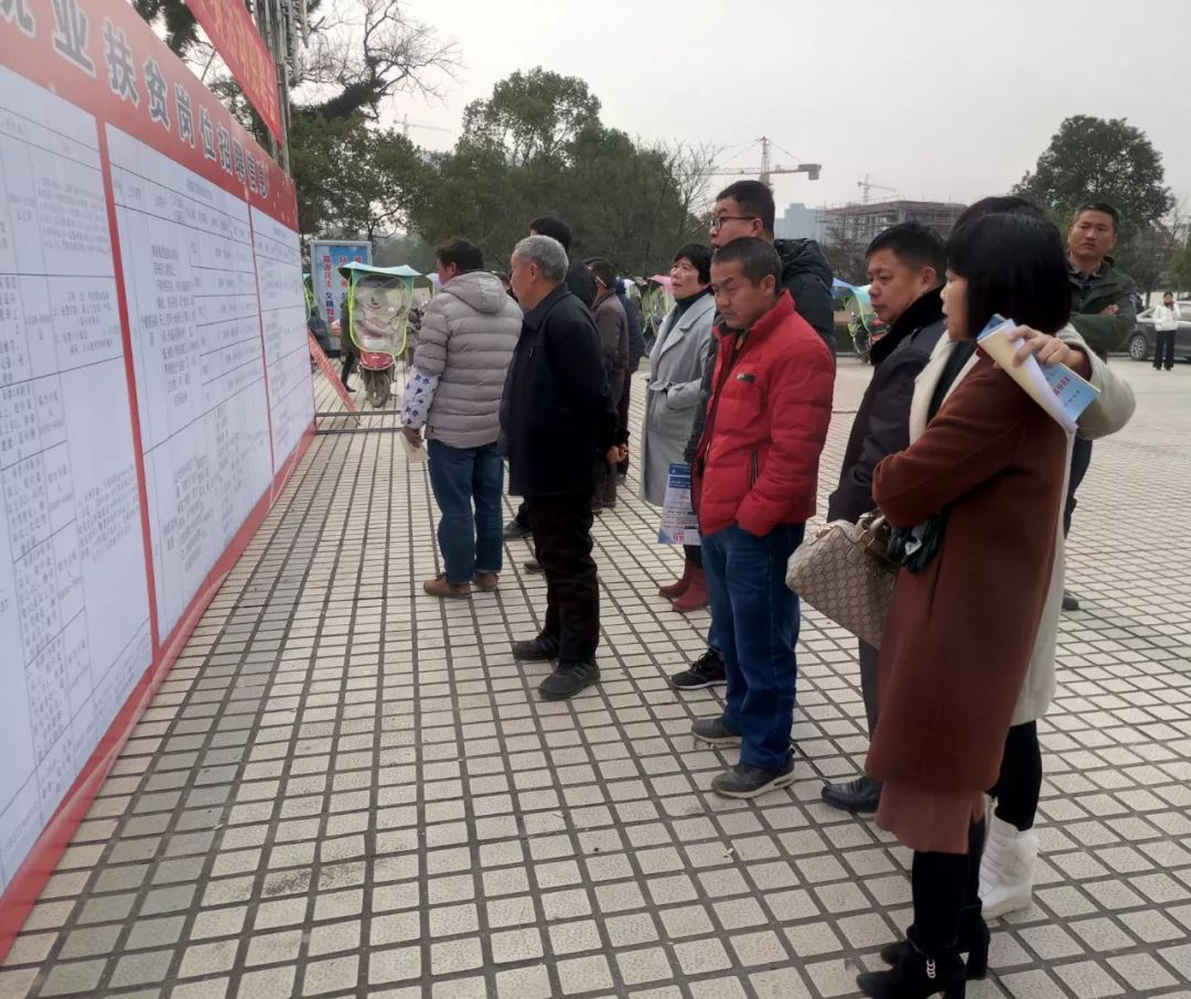 万载人才网最新招聘信息概览