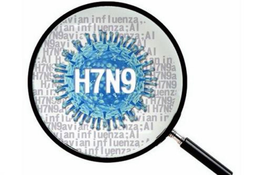 临沂H7N9和H9N2最新消息，疫情动态与防控措施