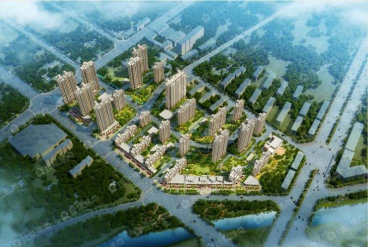济宁碧桂园最新动态
