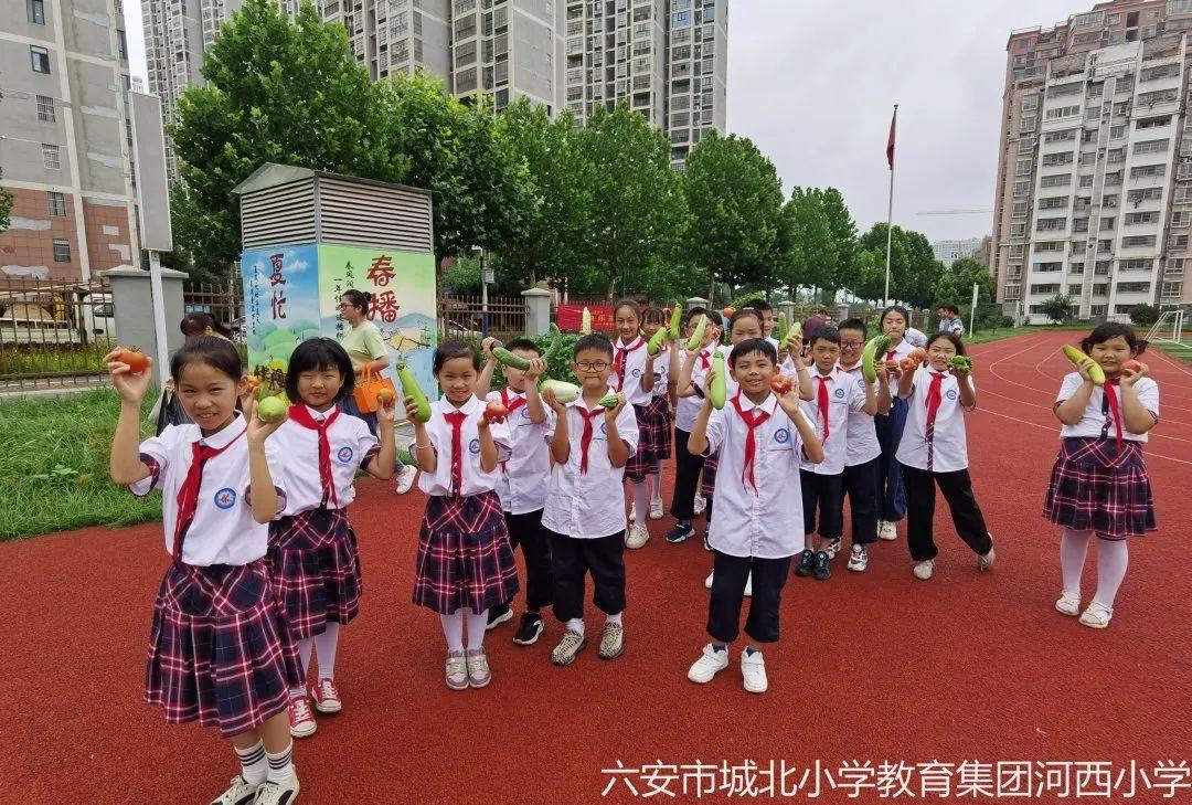 六安市城北最新规划图，描绘未来的繁荣蓝图