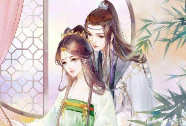 一夜弃妃书评，深度解析与最新评价