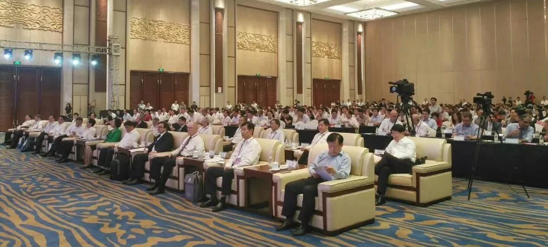 连云港市人才市场最新招聘动态深度解析