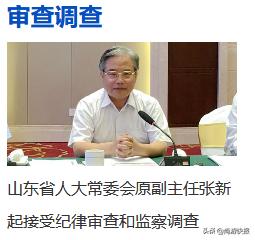 青岛张新起最新消息全面解读