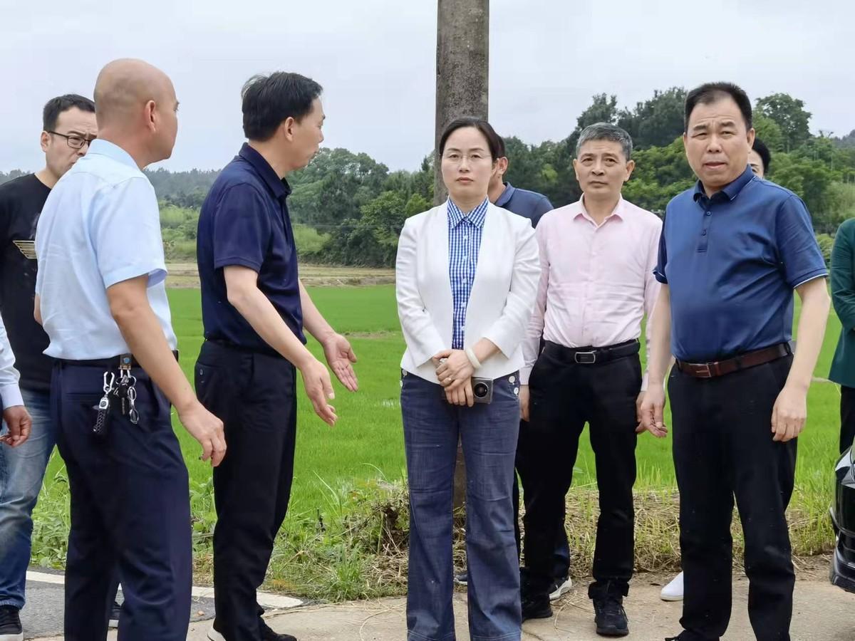 株洲县淦田镇官塘最新规划，塑造未来乡村新典范
