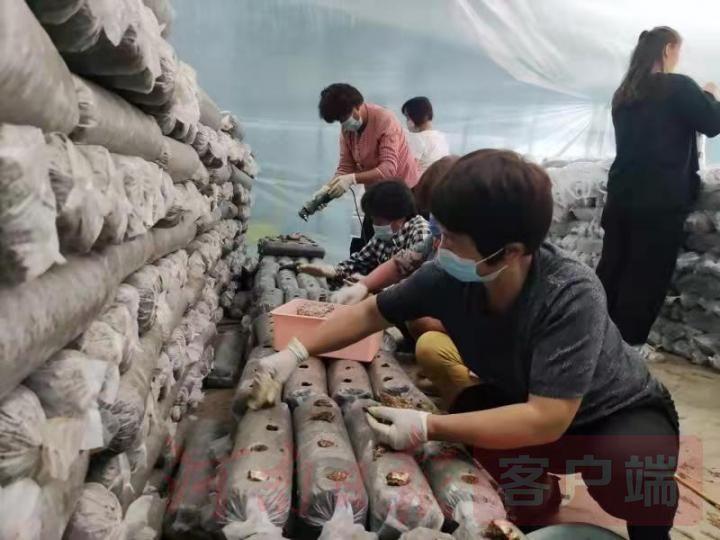 民权人才市场最新招聘动态及其影响