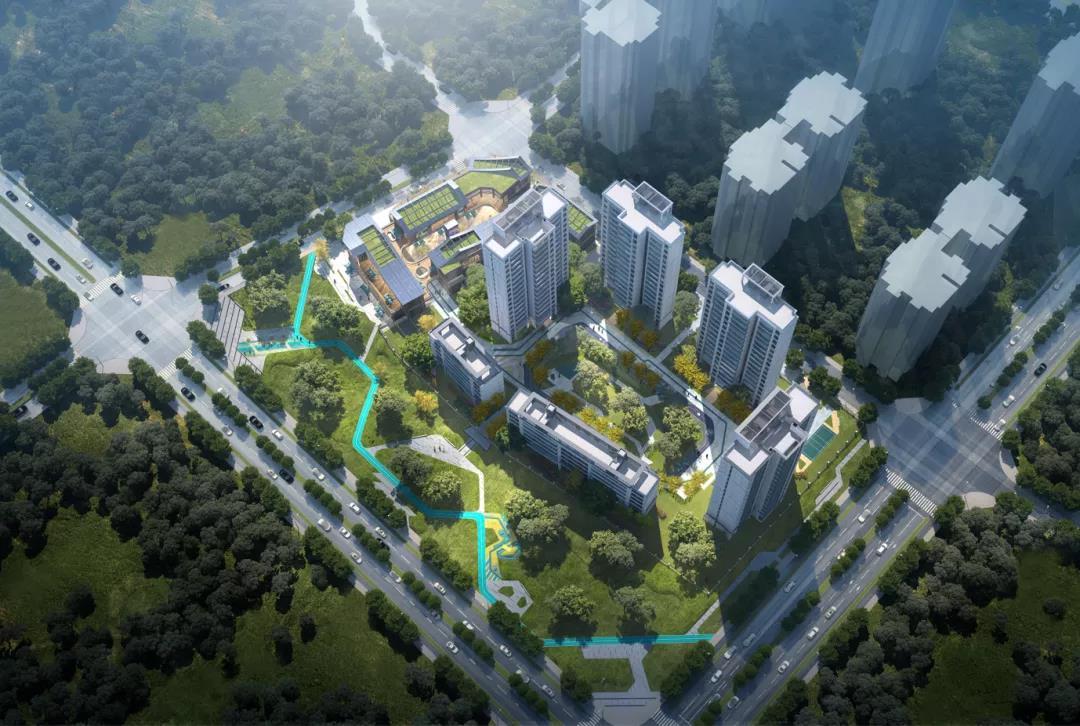 辛集朝阳华府最新消息深度解析
