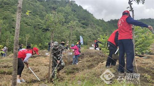 探索5到8万的车，选择多样性与性价比的完美结合